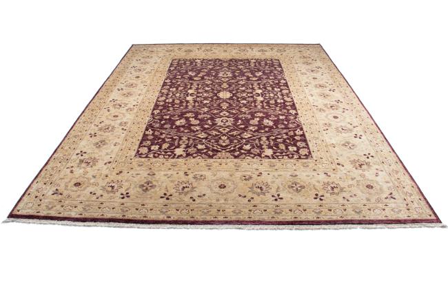 Ziegler Farahan - 3
