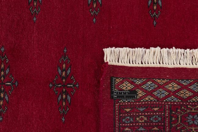Pakistan Buchara 3ply - 1