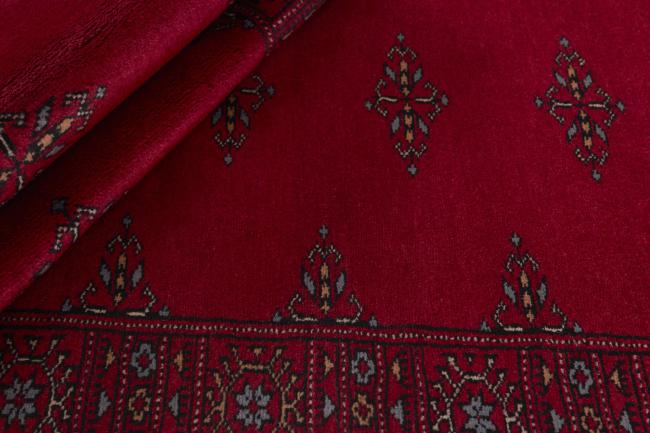 Pakistan Buchara 3ply - 2