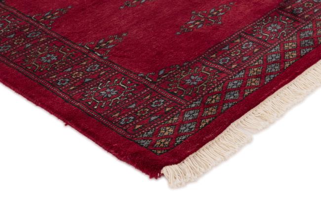 Pakistan Buchara 3ply - 3