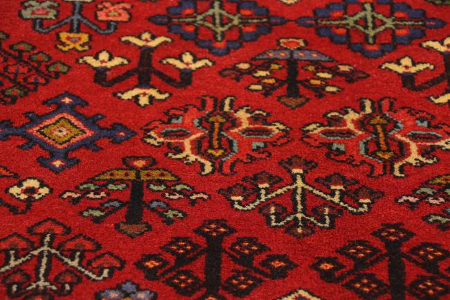 Shiraz - 2