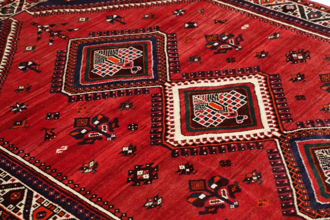 Shiraz - 6
