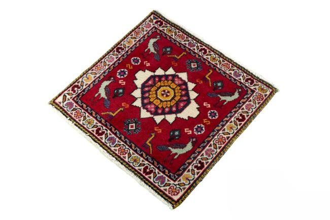 Shiraz - 1