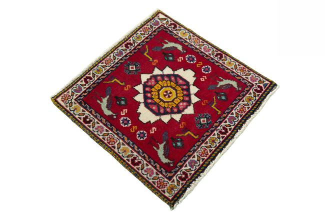 Shiraz - 2