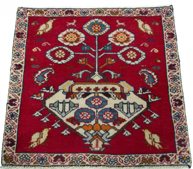 Shiraz - 3