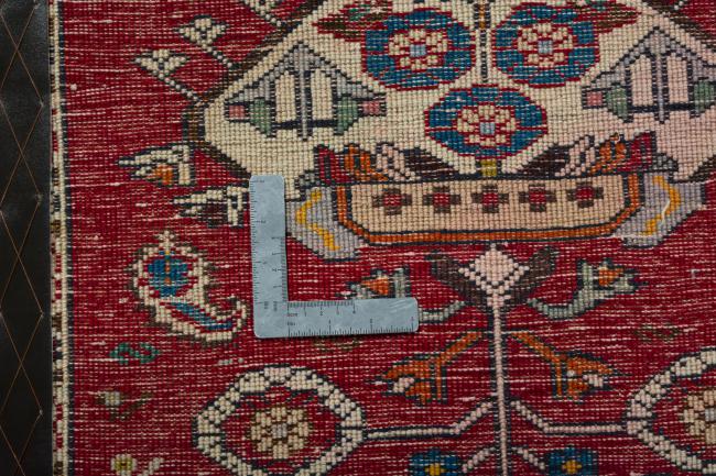 Shiraz - 4
