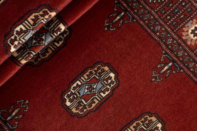 Pakistan Buchara 2ply - 2