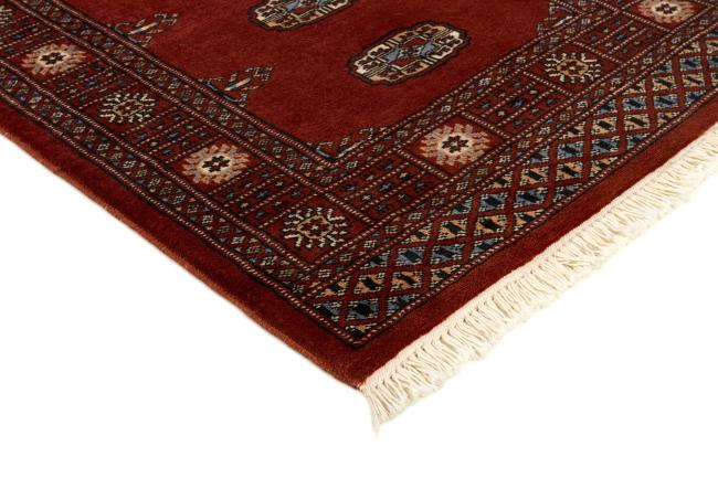 Pakistan Buchara 2ply - 3
