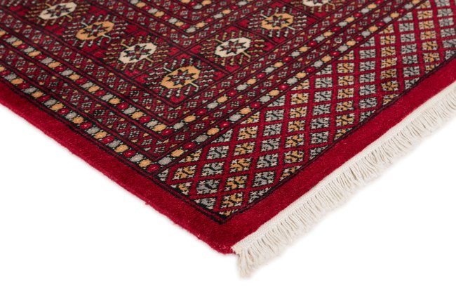 Pakistan Buchara 2ply - 3