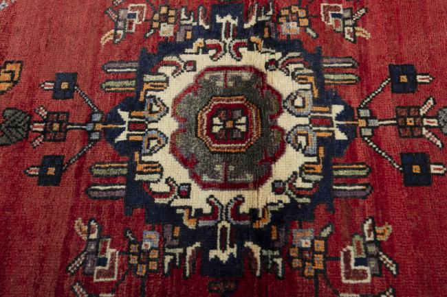 Shiraz - 5