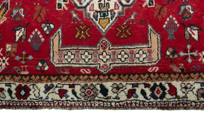 Shiraz - 6