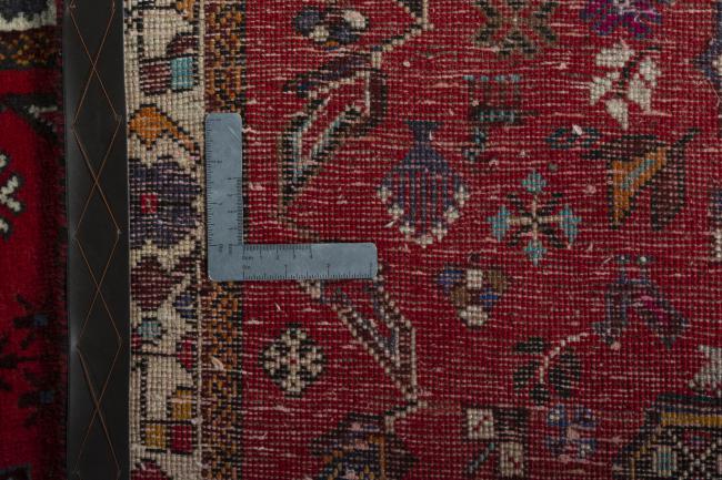 Shiraz - 10
