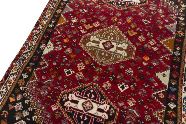 Shiraz - 4