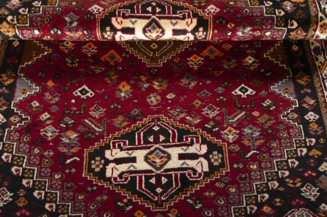 Shiraz - 7