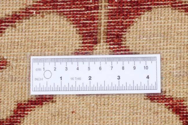 Ziegler Moderno - 11