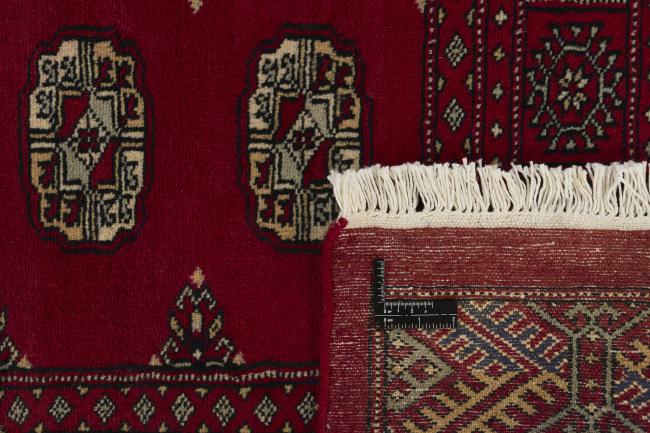 Pakistan Buchara 2ply - 1