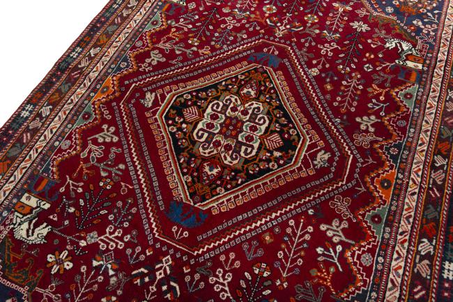 Shiraz - 4