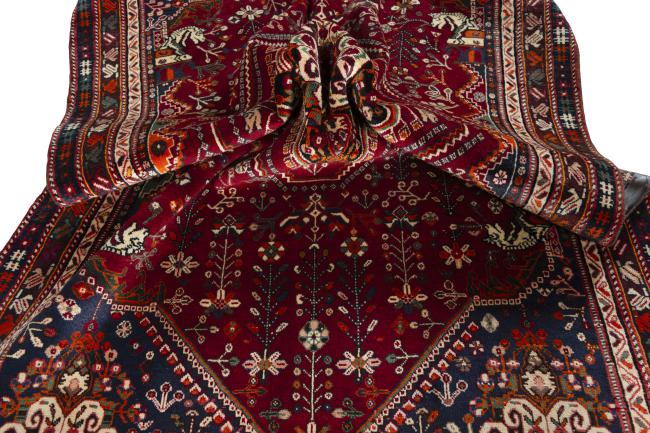 Shiraz - 9