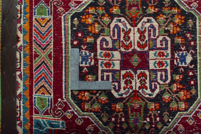 Shiraz - 4