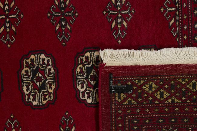 Pakistan Buchara 2ply - 1