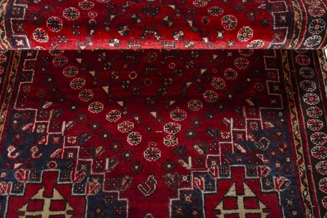 Shiraz - 8
