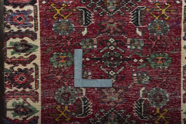 Shiraz - 4
