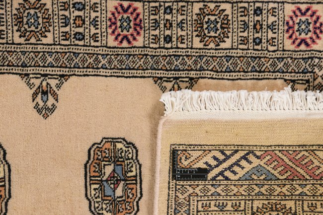 Pakistan Buchara 2ply - 1