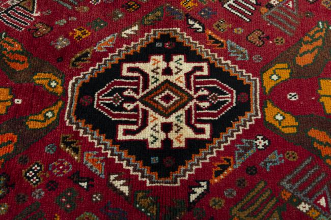 Shiraz - 5