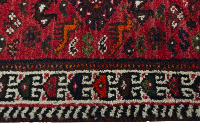 Shiraz - 5