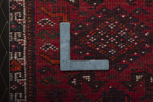Shiraz - 6