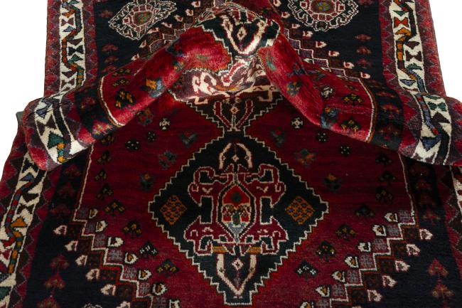 Shiraz - 8