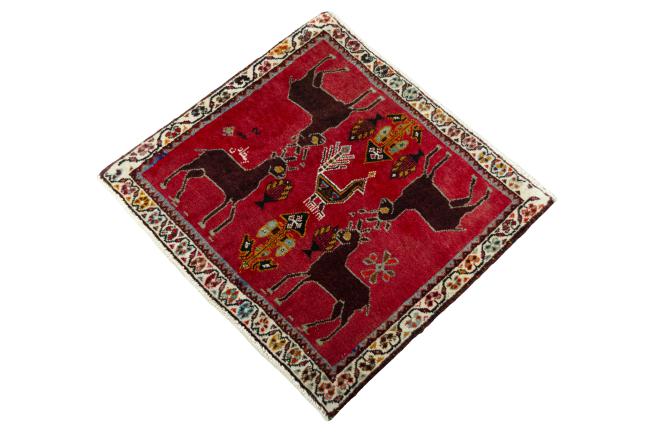 Shiraz - 1