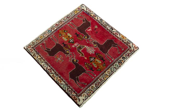 Shiraz - 2