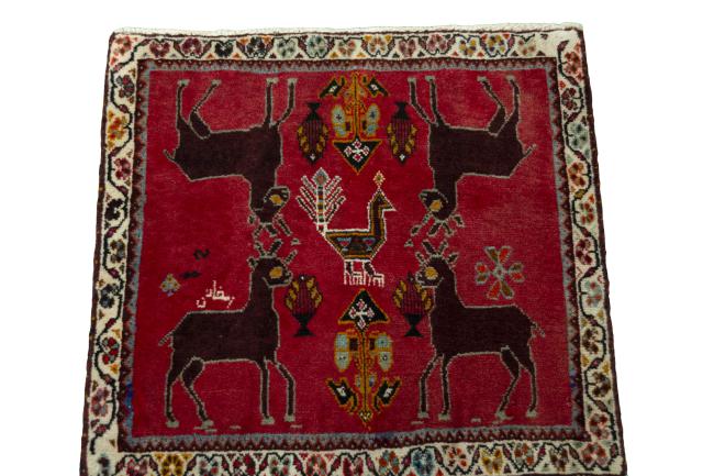 Shiraz - 3