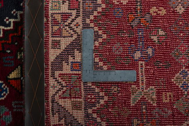 Shiraz - 10