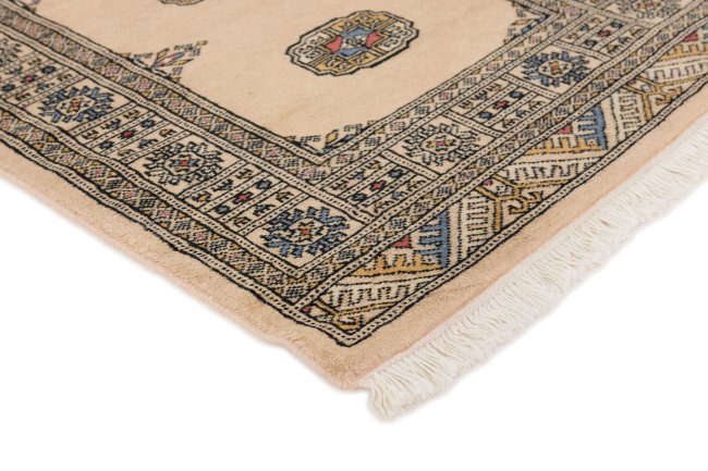 Pakistan Buchara 2ply - 3