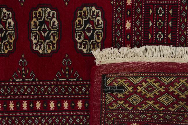 Pakistan Buchara 2ply - 1