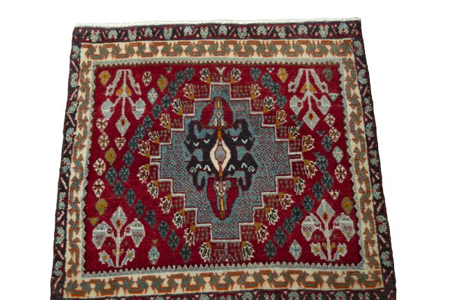 Shiraz - 3