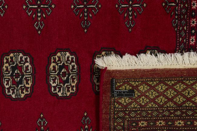 Pakistan Buchara 2ply - 1