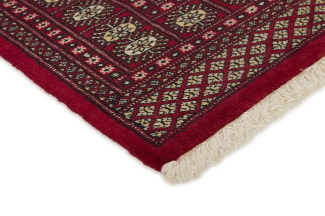 Pakistan Buchara 2ply - 3