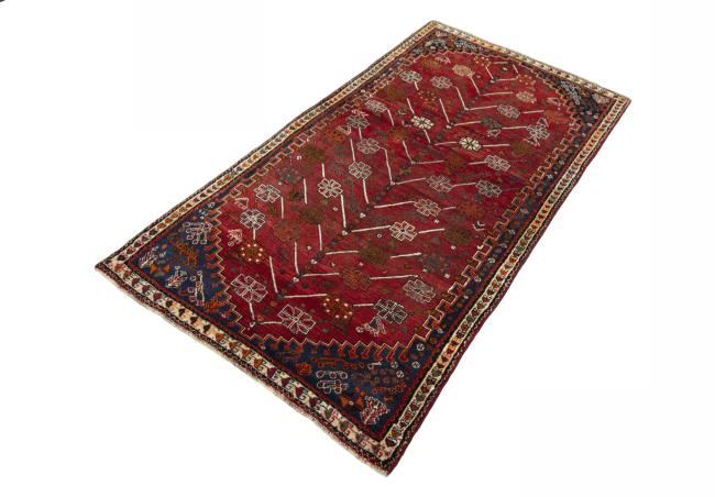 Shiraz - 2