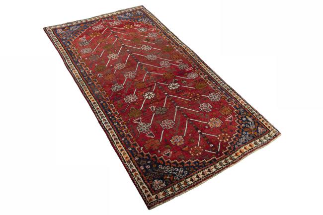 Shiraz - 3