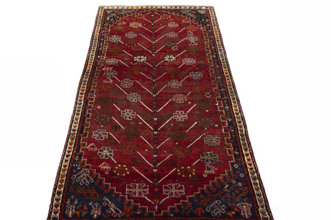 Shiraz - 4