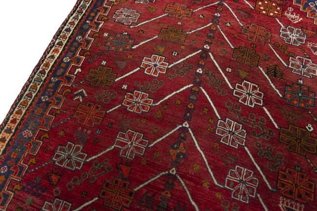 Shiraz - 5