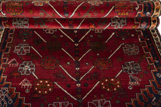 Shiraz - 8