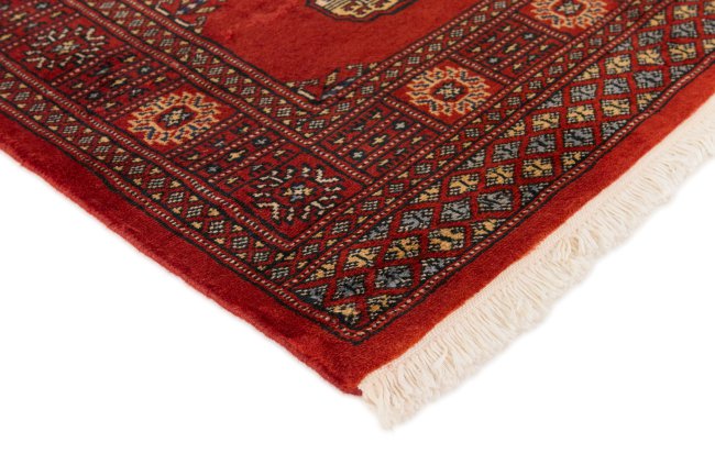 Pakistan Buchara 2ply - 3