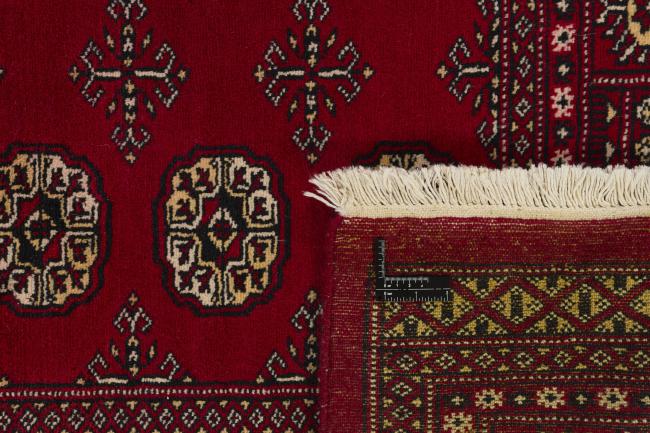 Pakistan Buchara 2ply - 1
