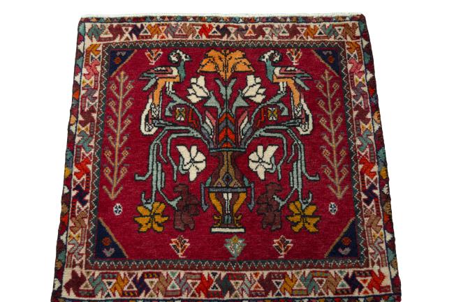 Shiraz - 3
