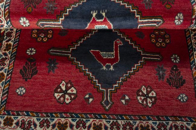 Shiraz - 7