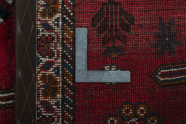 Shiraz - 9